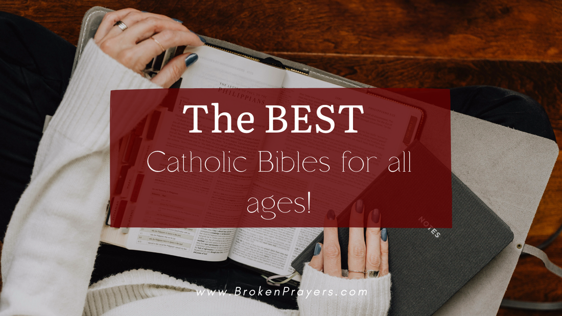 the best catholic bibles for all ages